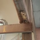 경산종합축산 이미지