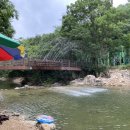 산천초목식당 - 동구 | 산천초목식당