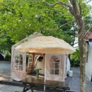 스카이애견 이미지