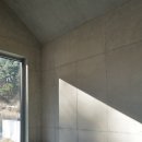 스테이 그로브 이미지