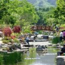 맥시카나치킨 이미지