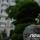 감사원 "한전, 보상고시 이전 '선하지' 사용료도 지급해야" 이미지