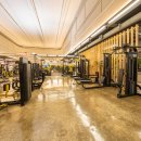 프리마스파 이미지