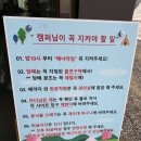 해자연캠핑장 이미지