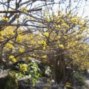 원좌회관 이미지