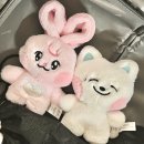 SHOW ME THE 뽑기방 | 드림쇼4 in 싱가포르 || THE DREAM SHOW 4 : DREAM THE FUTURE