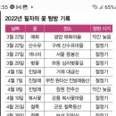 다시 찾아온 봄... 2023 장식할 꽃 캘린더 이미지