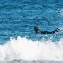 남애서핑클럽 이미지