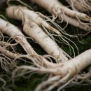 화원한의원 이미지