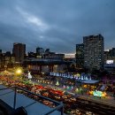 초롱애견 이미지