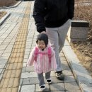 오산5-12 농로 | 오산시 장난감대여점 1호점 이용후기 | 아기 장난감, 사지 말고 빌려보세요