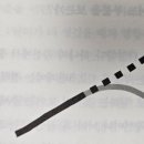 직선본능 이미지