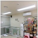 츄펫살롱 이미지