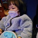 1월 기획공연 <고고다이노-고고킹의 귀환> | 고고다이노 뮤지컬 - 고고킹의 귀환 (양산문화 예술 회관 대공연장)