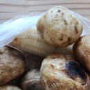 가곡초등학교보발분교장 이미지