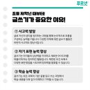 초등 사고력 글쓰기 이미지