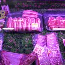 리틀부쳐 이미지