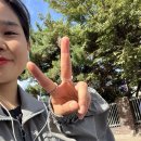 한스네카페