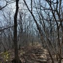 녹지42초소 화장실 | 충북 영동 각호산~도마령 원점회귀 등산코스 소요시간