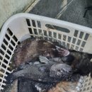 남양주탑실내바다낚시터 이미지