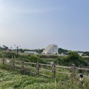 경주여행 | 프룩스플럭스호텔에서 주상절리 오션뷰 수영! 위치·조식·스탠다드A 룸구조·시설 총정리...