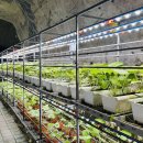 힐링게임랜드 이미지