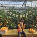 태규농장 이미지