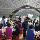 도신초등학교 이미지