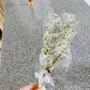 송현농장 네이버블로그