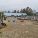 남매목장 이미지