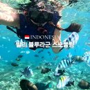 블루라군 | 발리 블루라군 스노쿨링 포인트 투어 후기 복장 준비물