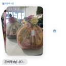 강서구 과일바구니 선물 달달함이탐나다 🍑 남자친구부모님 첫인사 선물추천