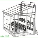 한국춘란 월동기(越冬期) 휴면(休眠-dormancy)과 관리04(월계난346)/휴면중 온도관리03 이미지