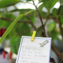 이수형한의원 이미지