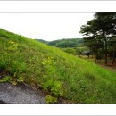 청송심씨묘역 이미지