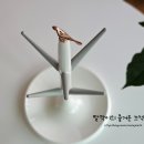 버드트리