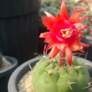 귀선농장 이미지