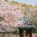 자연과공간 네이버블로그