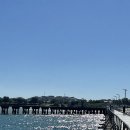 바보철물점 | [호주워홀] D+75~82 보웬 고양이한테 간택받은 시골 생활, Birds fish bar 재방문