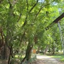 의성기천정사 이미지