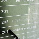 헤드샷스칼프제이닷