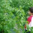 주환농장 이미지