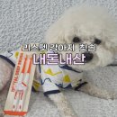 펫을 부탁해 | 강아지 양치질 치석제거 리스펫 강아지 칫솔 초극세사모 브러쉬 후기