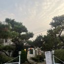 산앤들 | [의왕맛집]산앤들, 애견 동반 가능 야외 바베큐 맛집