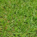 서신GDR 골프아카데미 이미지