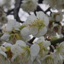 홍성 풀무농업고등기술학교 | 홍성군 홍동면_유기농법 성지