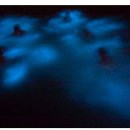 리코바이오 이미지