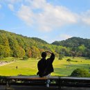 하궁농장 | 국내단풍명소 청남대 2025 가을축제 후기 주차정보