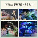 얼라이브짐 | 공룡 좋아하는 아이라면 다이노스 얼라이브 32개월 후기