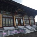 선운 농장 이미지